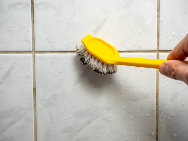 Best Local Mold Removal Service  in Jefferson, OH