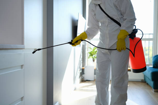 Best Mold Cleaning Services  in Jefferson, OH