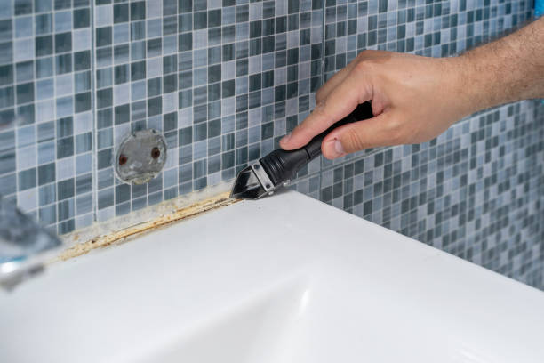 Best Mold Damage Repair  in Jefferson, OH