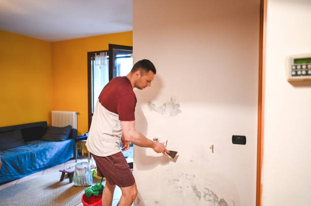 Best Mold Removal Near Me  in Jefferson, OH